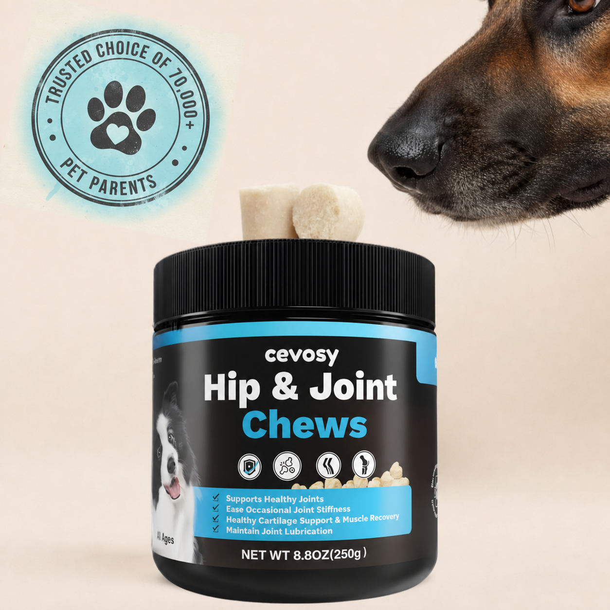 Cevosy Premium Hip & Joint Support