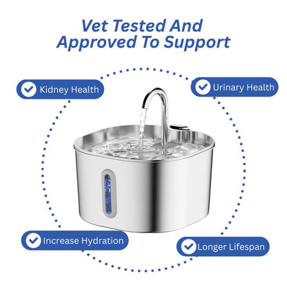 Protect your cat from dehydration and urinary emergencies with Purrify