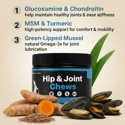 Cevosy Premium Hip & Joint Support