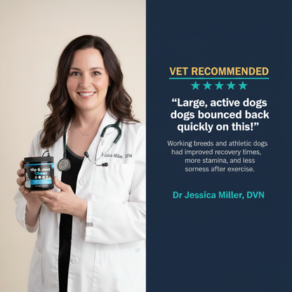 Cevosy Premium Hip & Joint Support