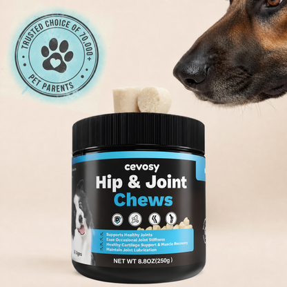 Cevosy Premium Hip & Joint Support